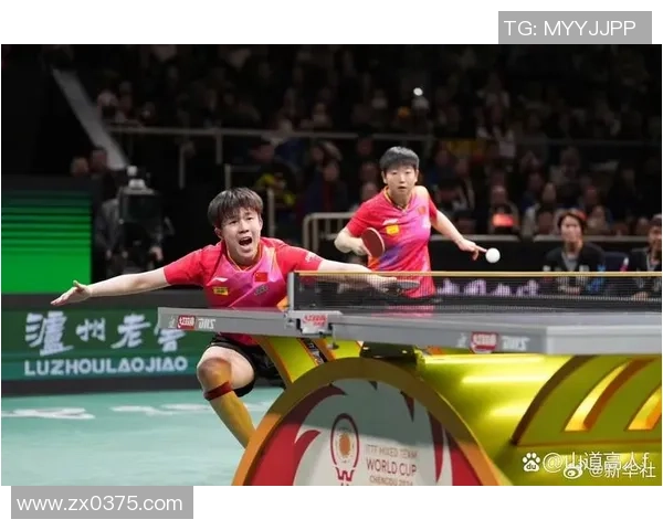 最新乒乓球实力TOP10：成都乒乓球队领跑