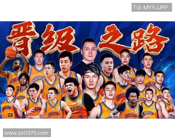 杯赛特别报道：上海篮球队的转型之路