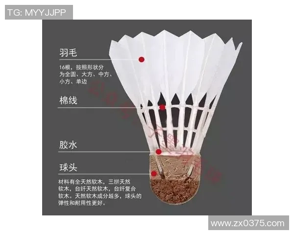 羽毛球战术：南京羽毛球队的运营体系