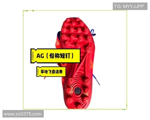 飞盘新手攻略：耐力入门指南