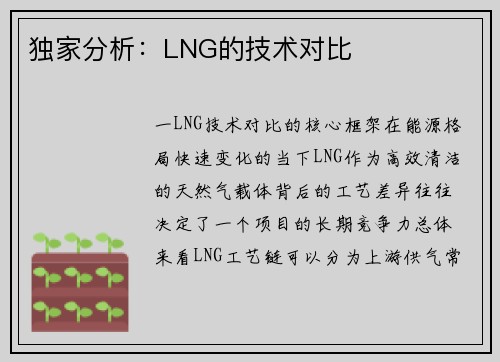 独家分析：LNG的技术对比