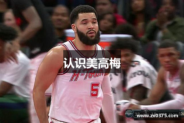 认识美高梅
